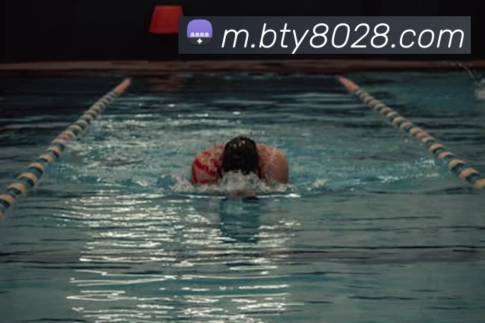 B体育平台生态图