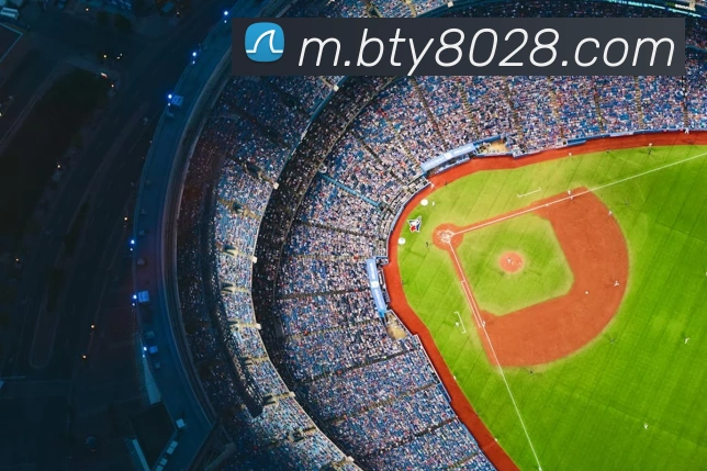 B体育APP 封面图